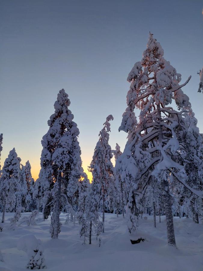 Villa Latvus Rovaniemi Exterior photo